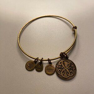 Alex and Ani Charm Bracelet